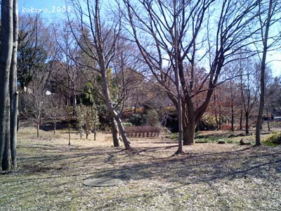 mori.2008-02-5.jpg